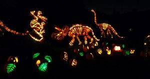 The great 2014 jack o'lantern display.